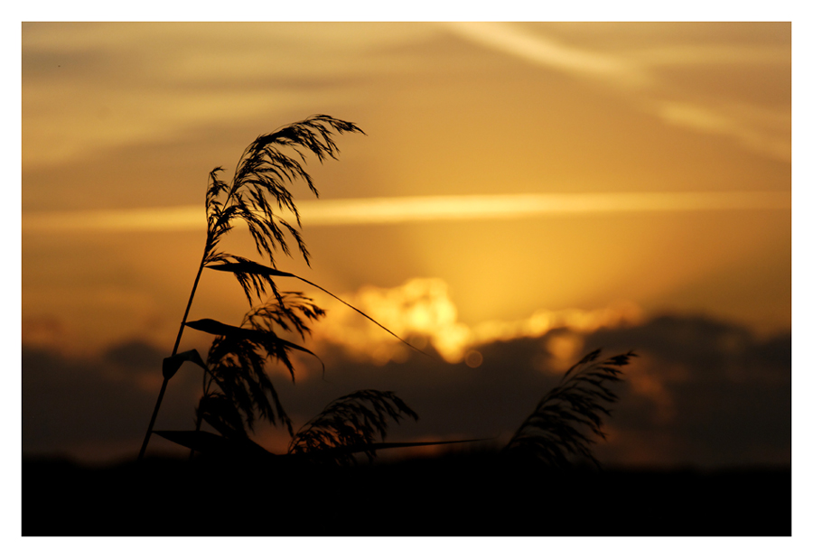 Abendstimmung in Friesland