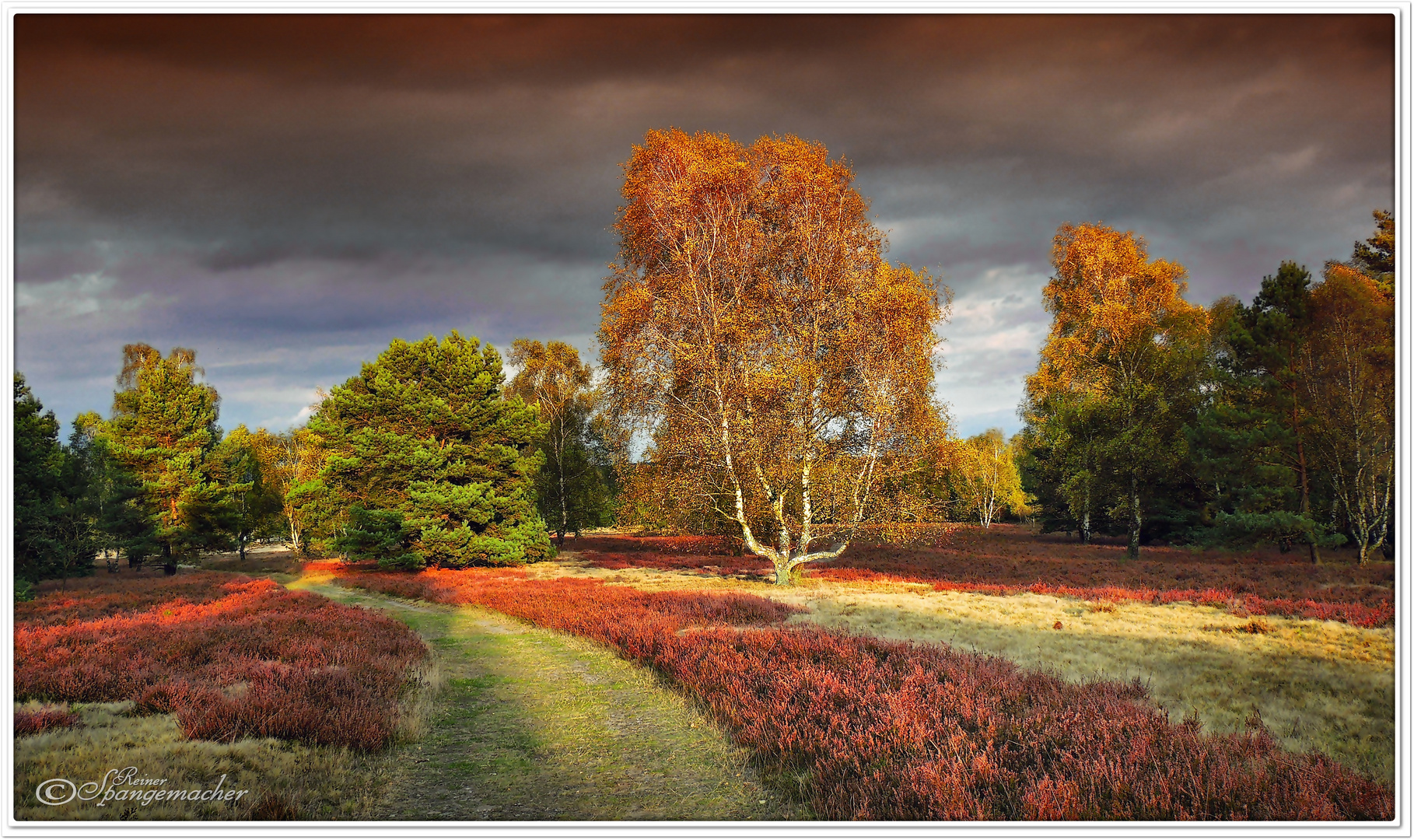 Abendstimmung in herbstlicher Heide