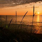 Abendstimmung in Hirtshals DK