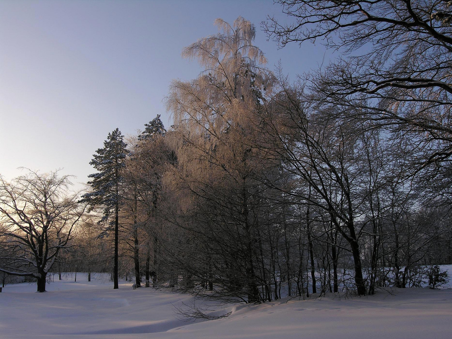 Abendstimmung In Hohenstein-Er.