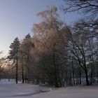 Abendstimmung In Hohenstein-Er.