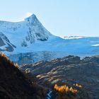 Abendstimmung in Innergschlöß Hohe Tauern