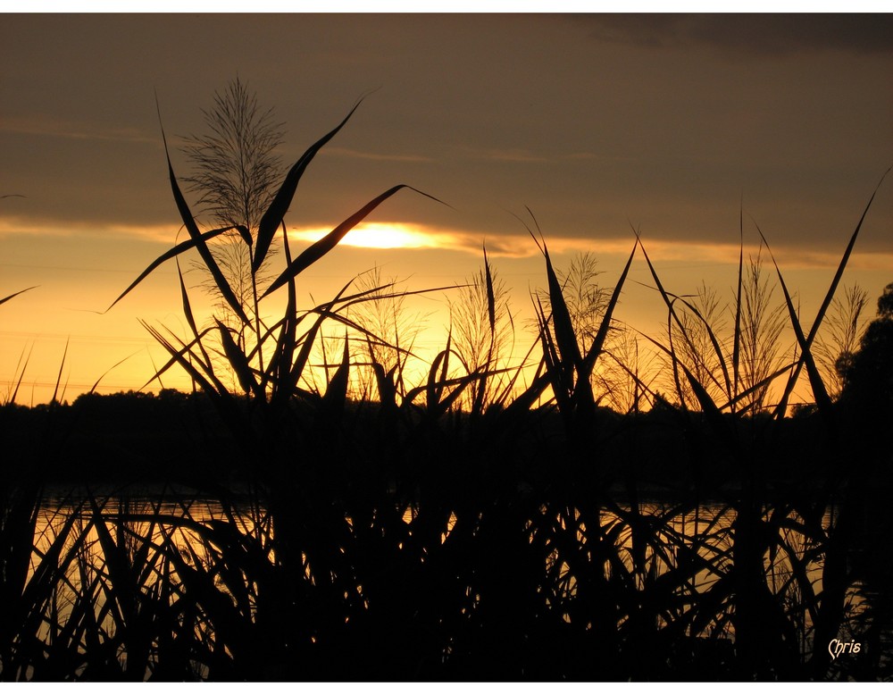 Abendstimmung in Ketzin