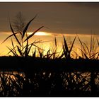 Abendstimmung in Ketzin