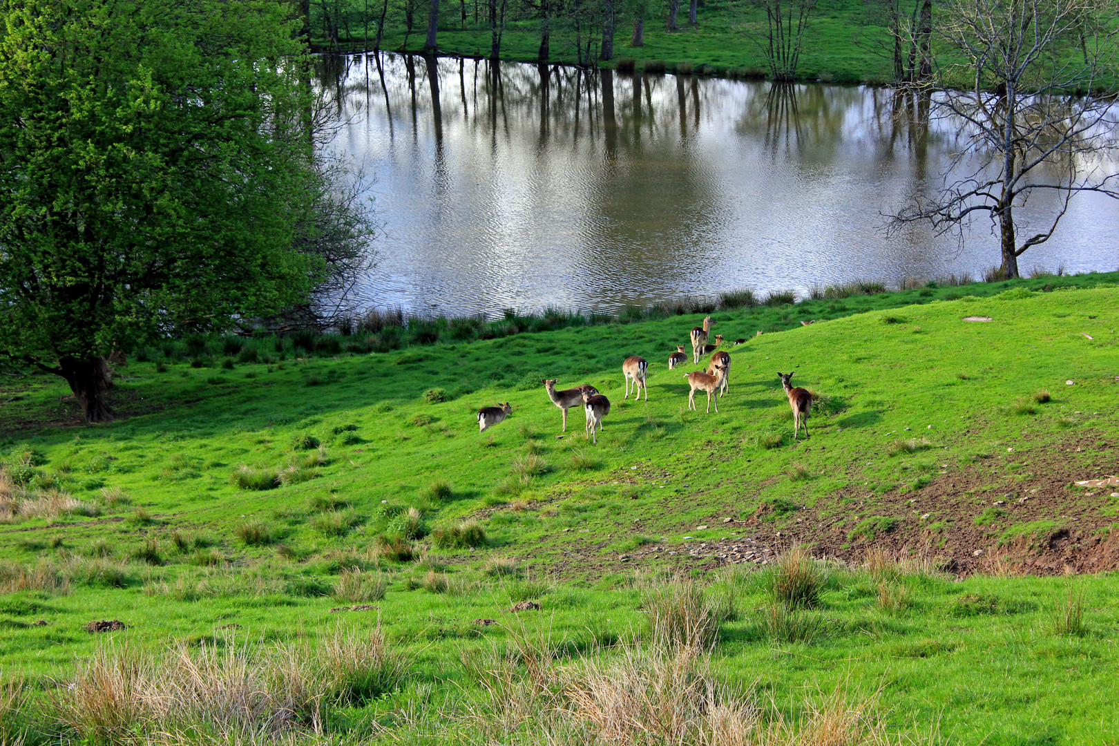 Abendstimmung in Kirchhundem-Silberg (Nähe Seniorenheim)