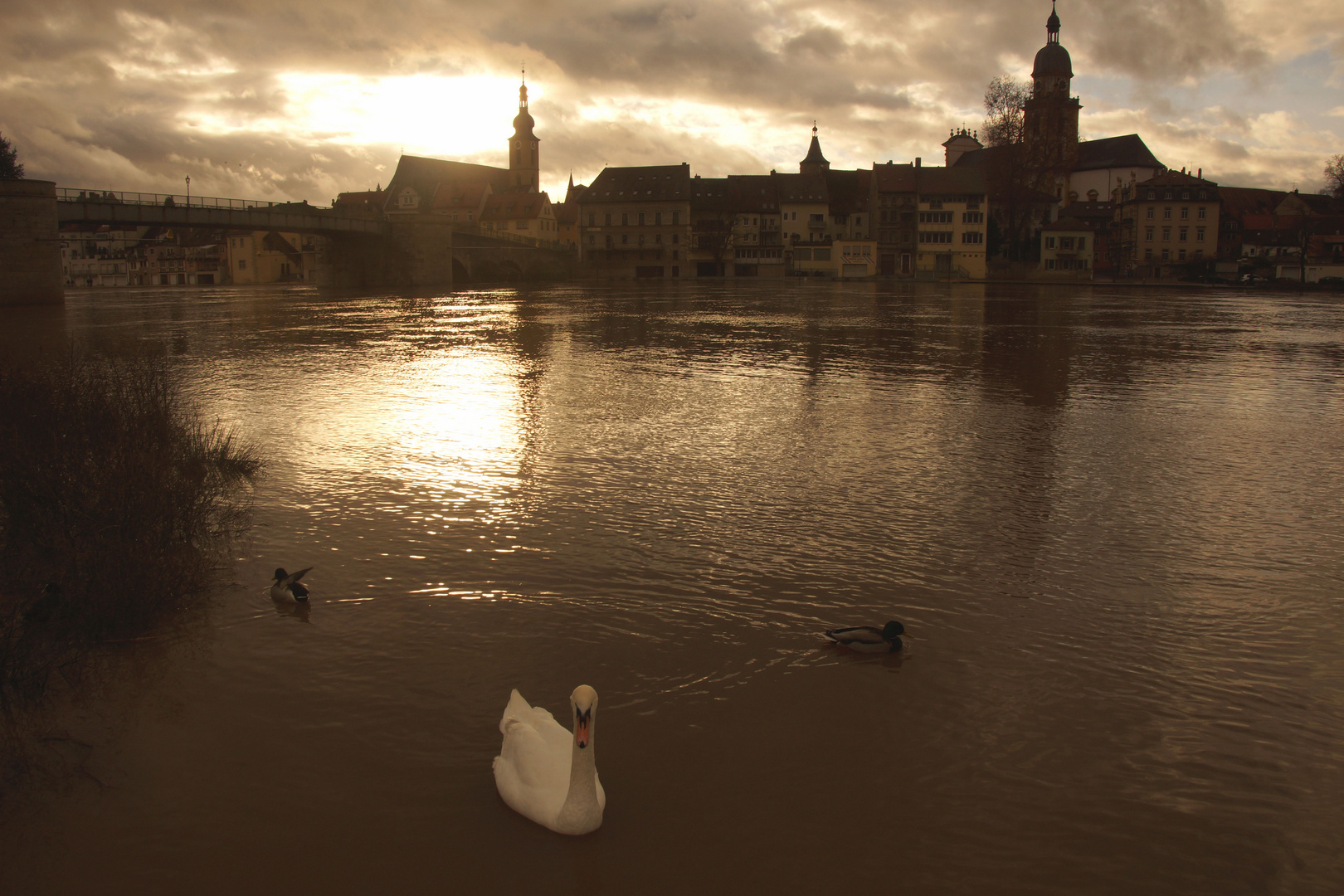 Abendstimmung in Kitzingen am Main