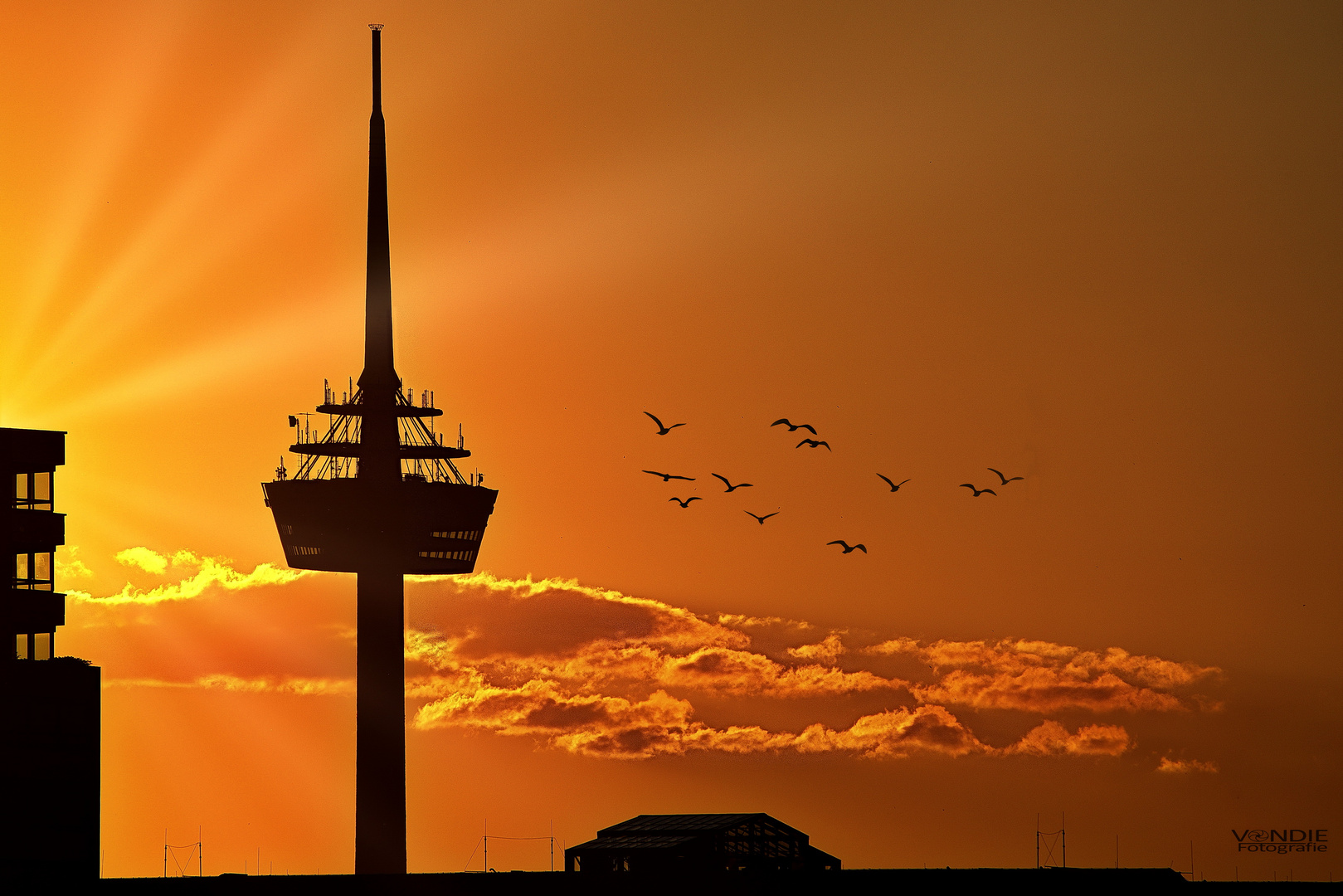 Abendstimmung in Köln