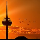 Abendstimmung in Köln