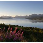 Abendstimmung in Lappland.