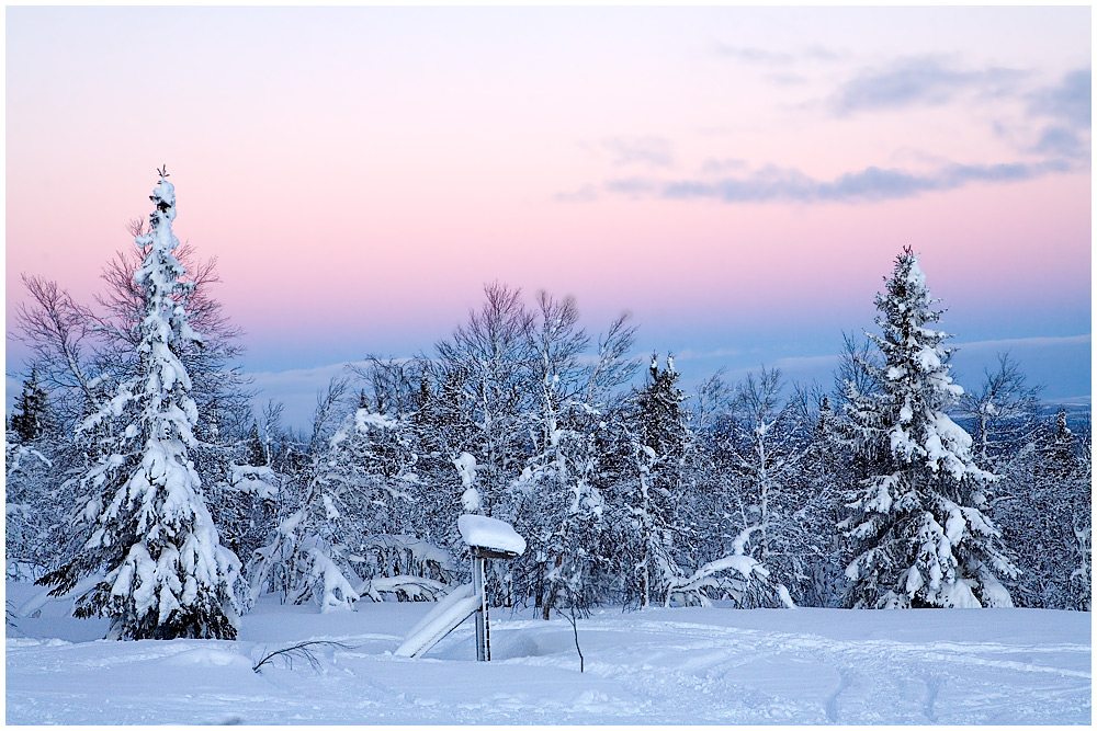 Abendstimmung in Lappland - Schweden