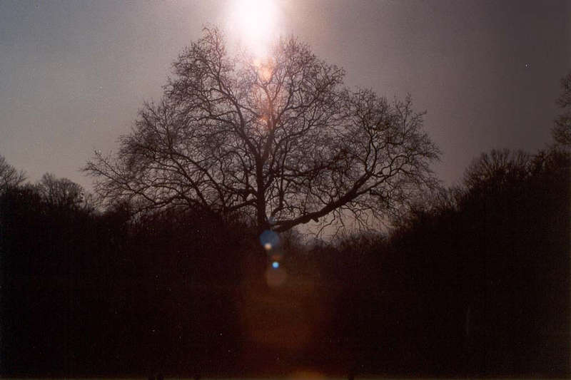 Abendstimmung in Laxenburg