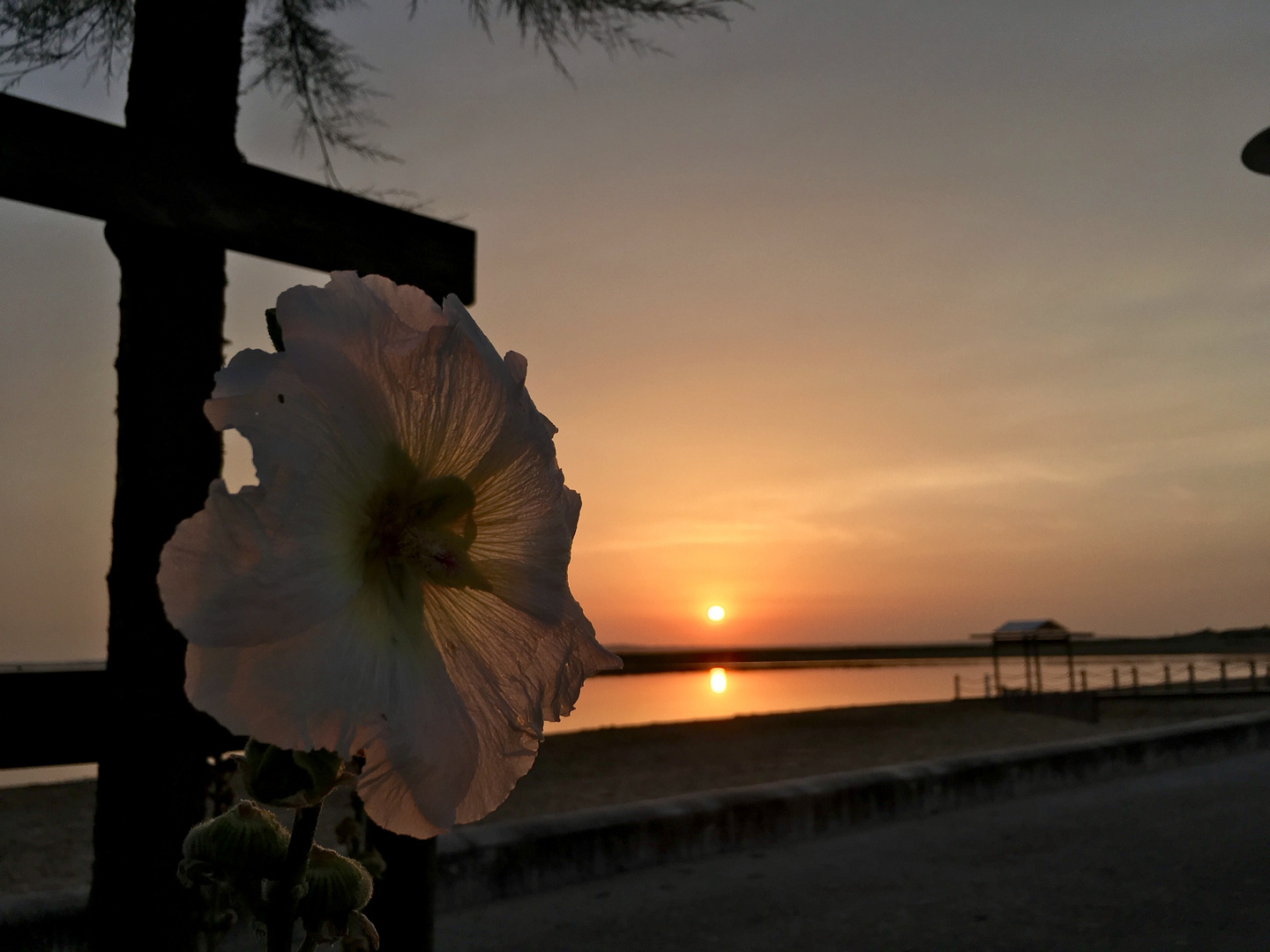 Abendstimmung in Marennes