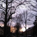 Abendstimmung in meiner Strasse