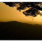 Abendstimmung in Montalcino