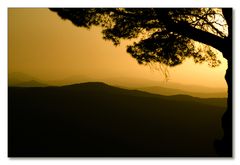 Abendstimmung in Montalcino