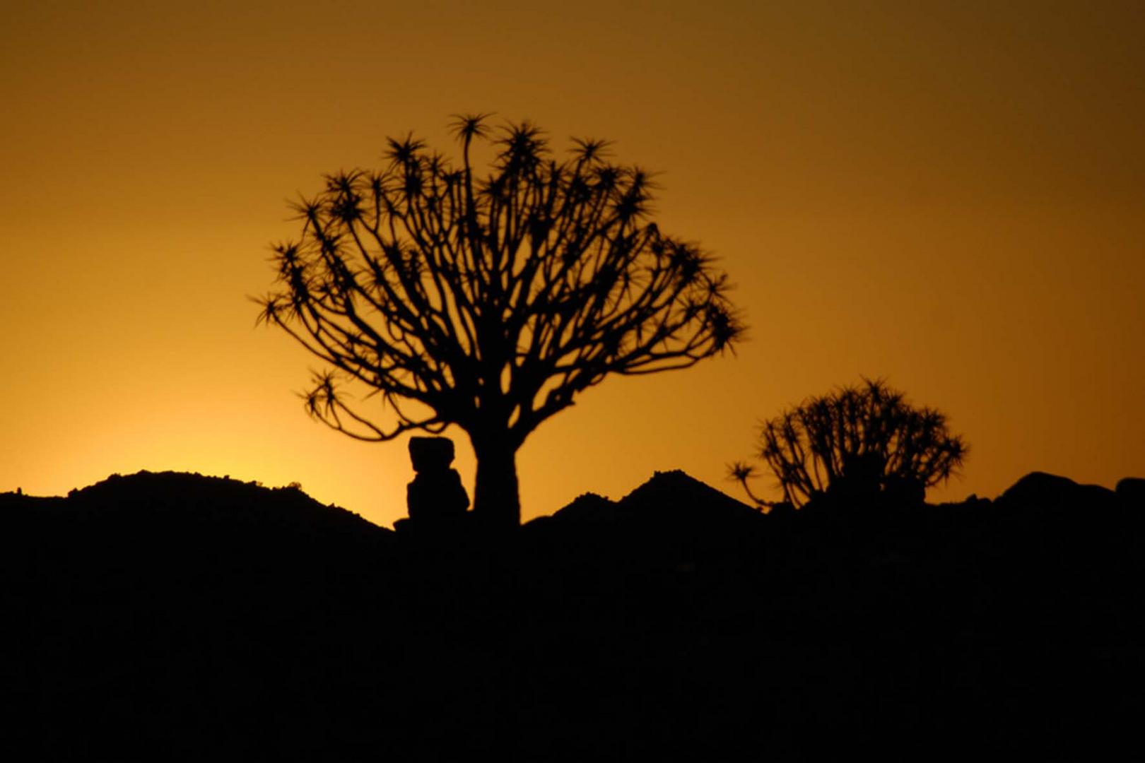 Abendstimmung in Namibia