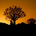 Abendstimmung in Namibia