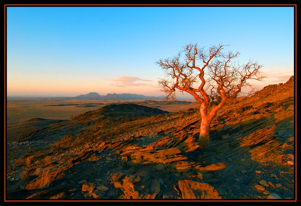 Abendstimmung in Namibia