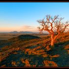 Abendstimmung in Namibia