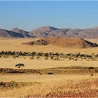 Abendstimmung in Namibia