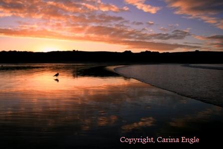 Abendstimmung in Neuseeland