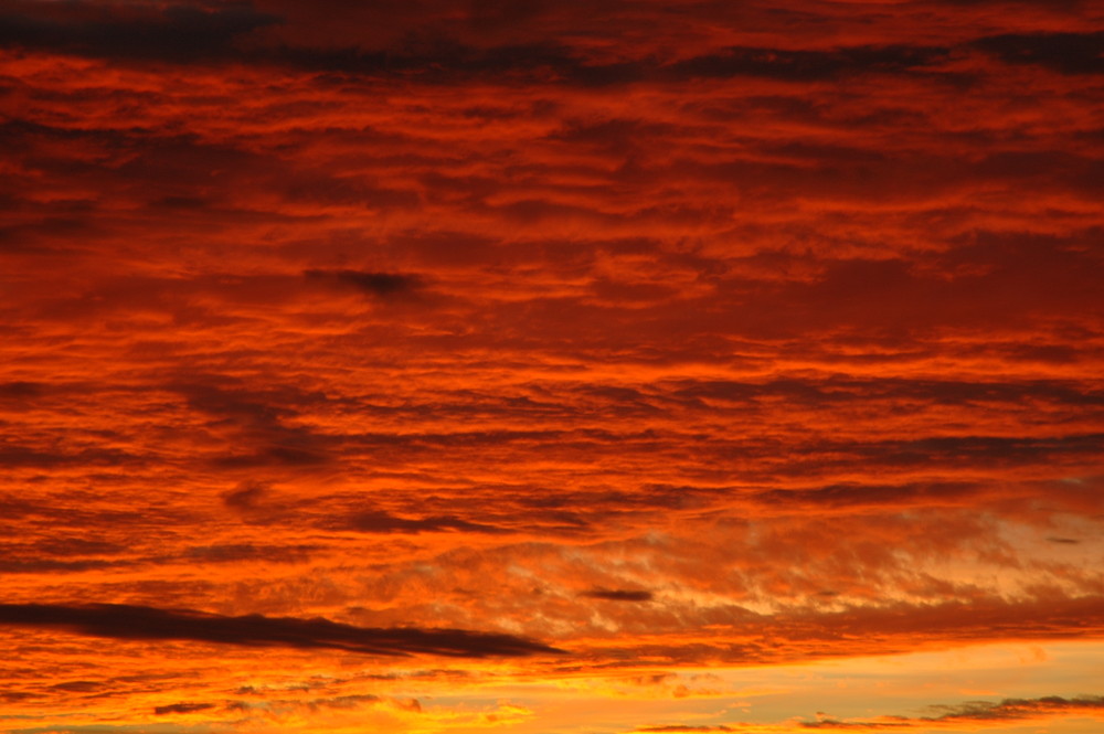 Abendstimmung in Neustadt