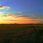 Abendstimmung in Nordsachsen