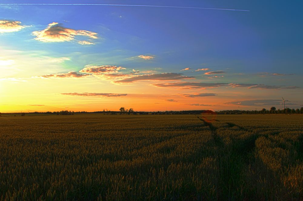 Abendstimmung in Nordsachsen