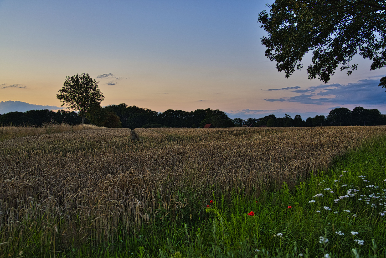 Abendstimmung in NRW