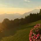 Abendstimmung in Österreich 