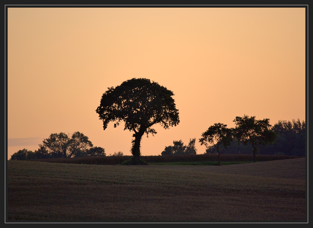 Abendstimmung in Ostholstein