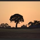 Abendstimmung in Ostholstein