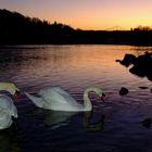 Abendstimmung in Passau