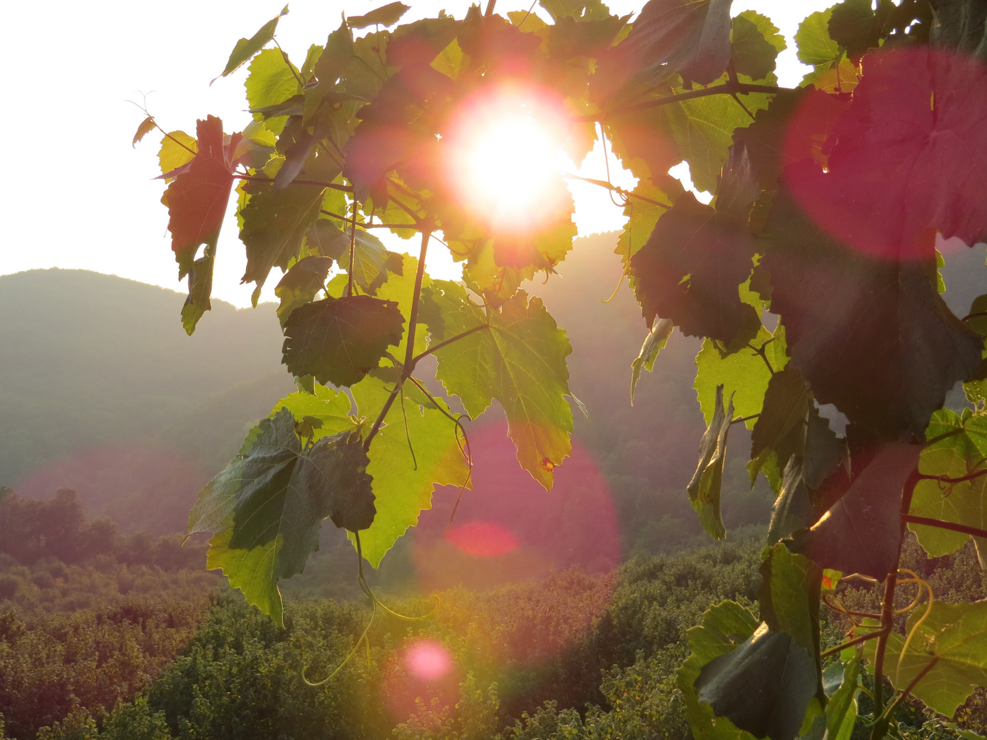 Abendstimmung in Piemont