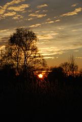 Abendstimmung in Purpur 1