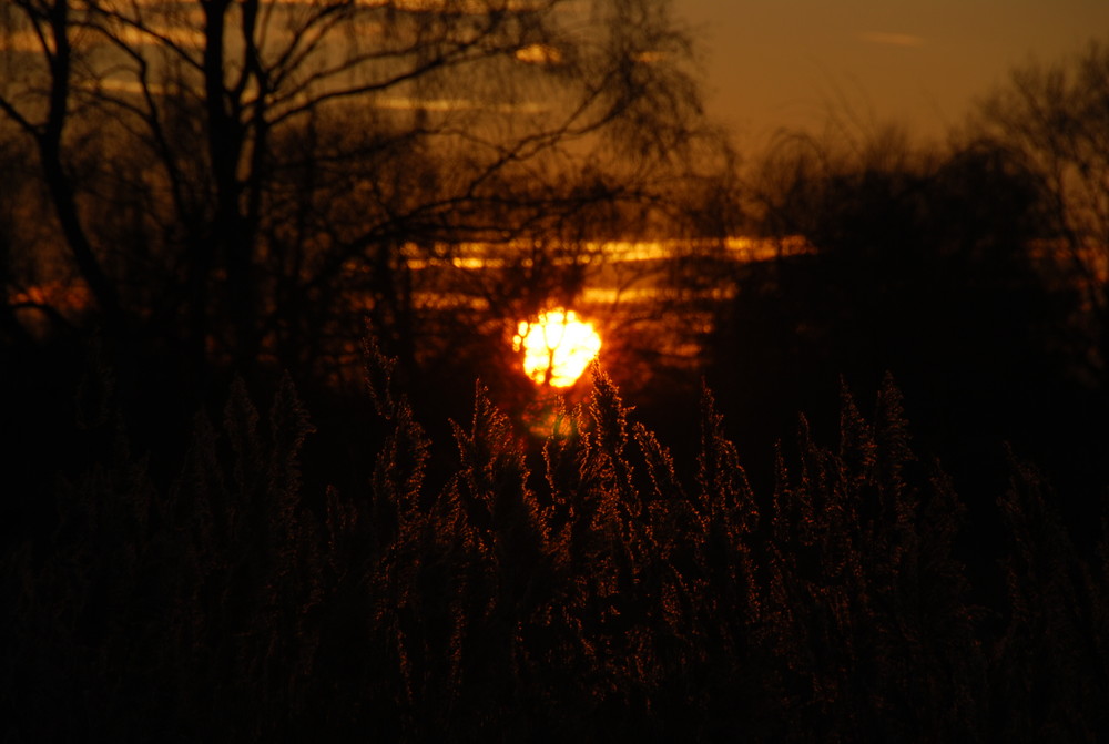 Abendstimmung in Purpur 3