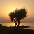 Abendstimmung in Rethymnon