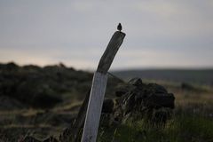 Abendstimmung in Reykjahlid