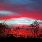 ... Abendstimmung in Sachsen Anhalt ...