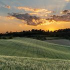 Abendstimmung in San Terenziano