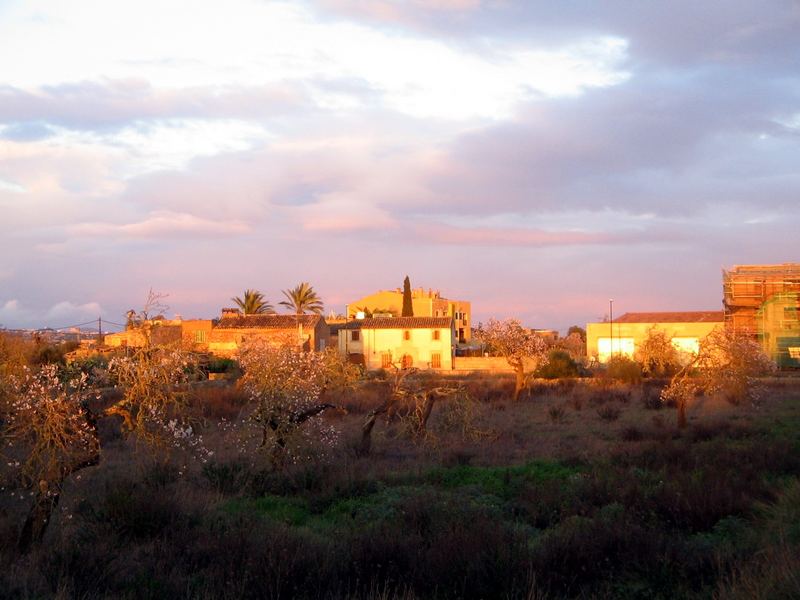 Abendstimmung in Santanyi