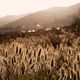 Abendstimmung in Sardinien