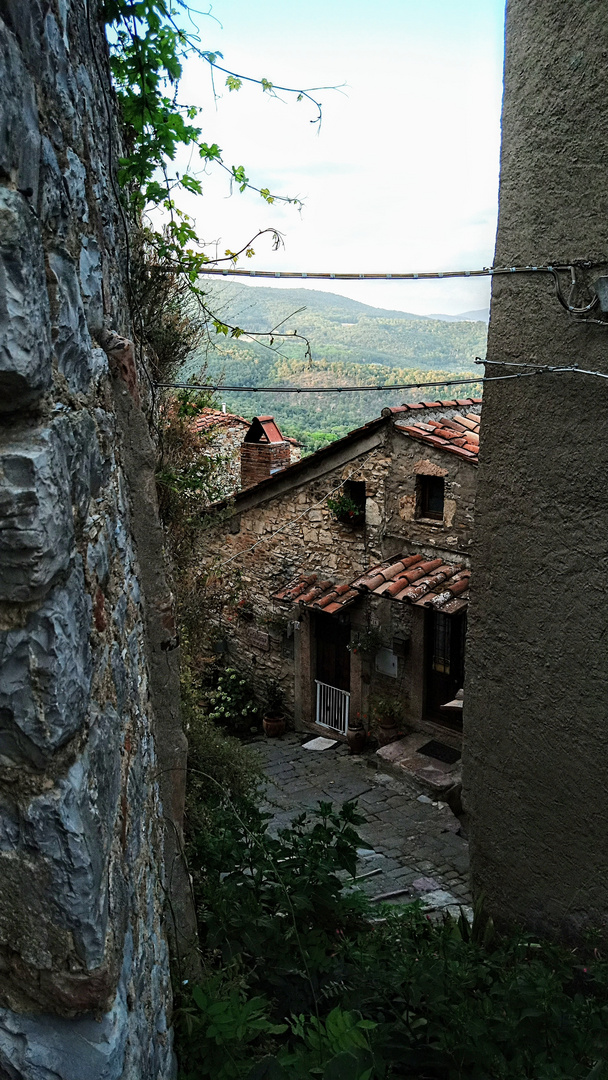 Abendstimmung in Sassetta