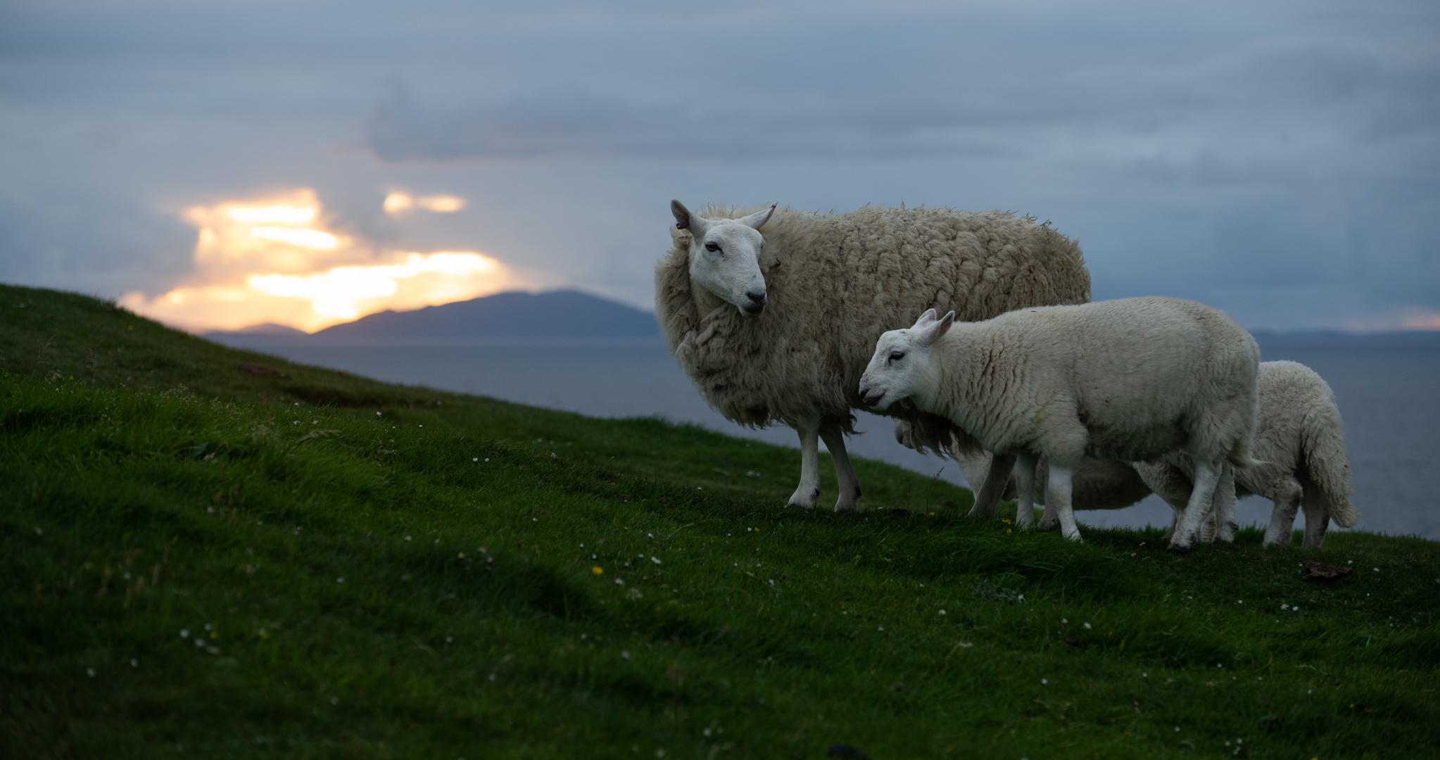 __ Abendstimmung in Schottland __