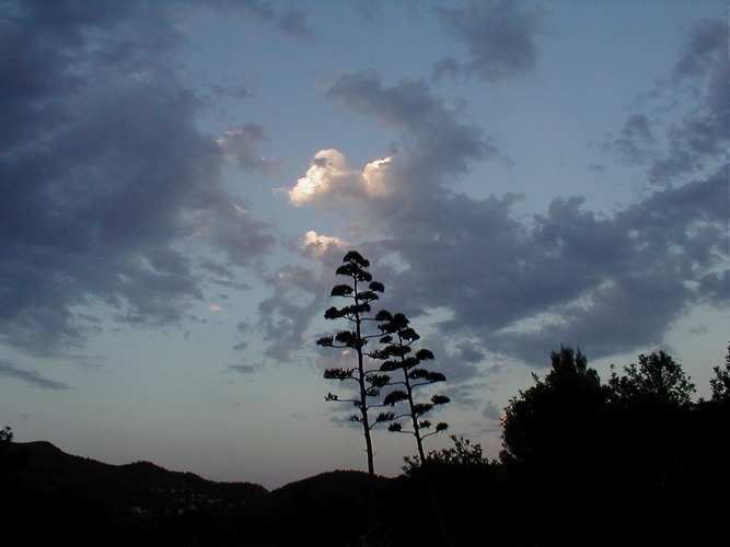 Abendstimmung in Spanien