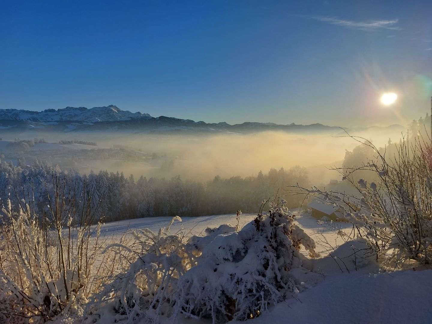 Abendstimmung in St. Gallen Schweiz