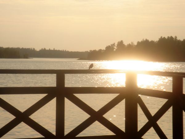 Abendstimmung in Südschweden, August 2006