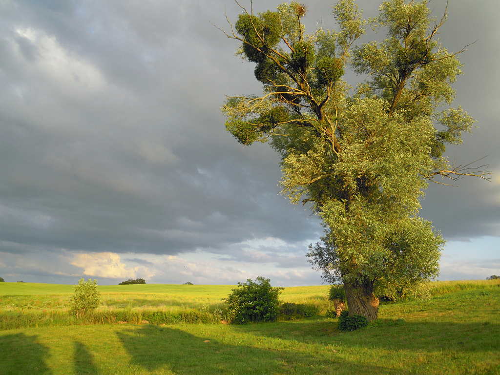 Abendstimmung in Ulrichshusen / Mecklenburg Vorpommern