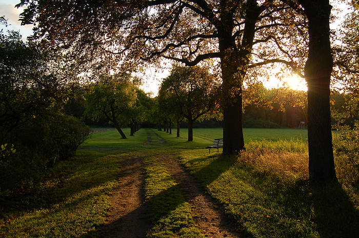 Abendstimmung in unserem Botanischen Garten