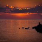 Abendstimmung in Vevey - Genfersee Schweiz